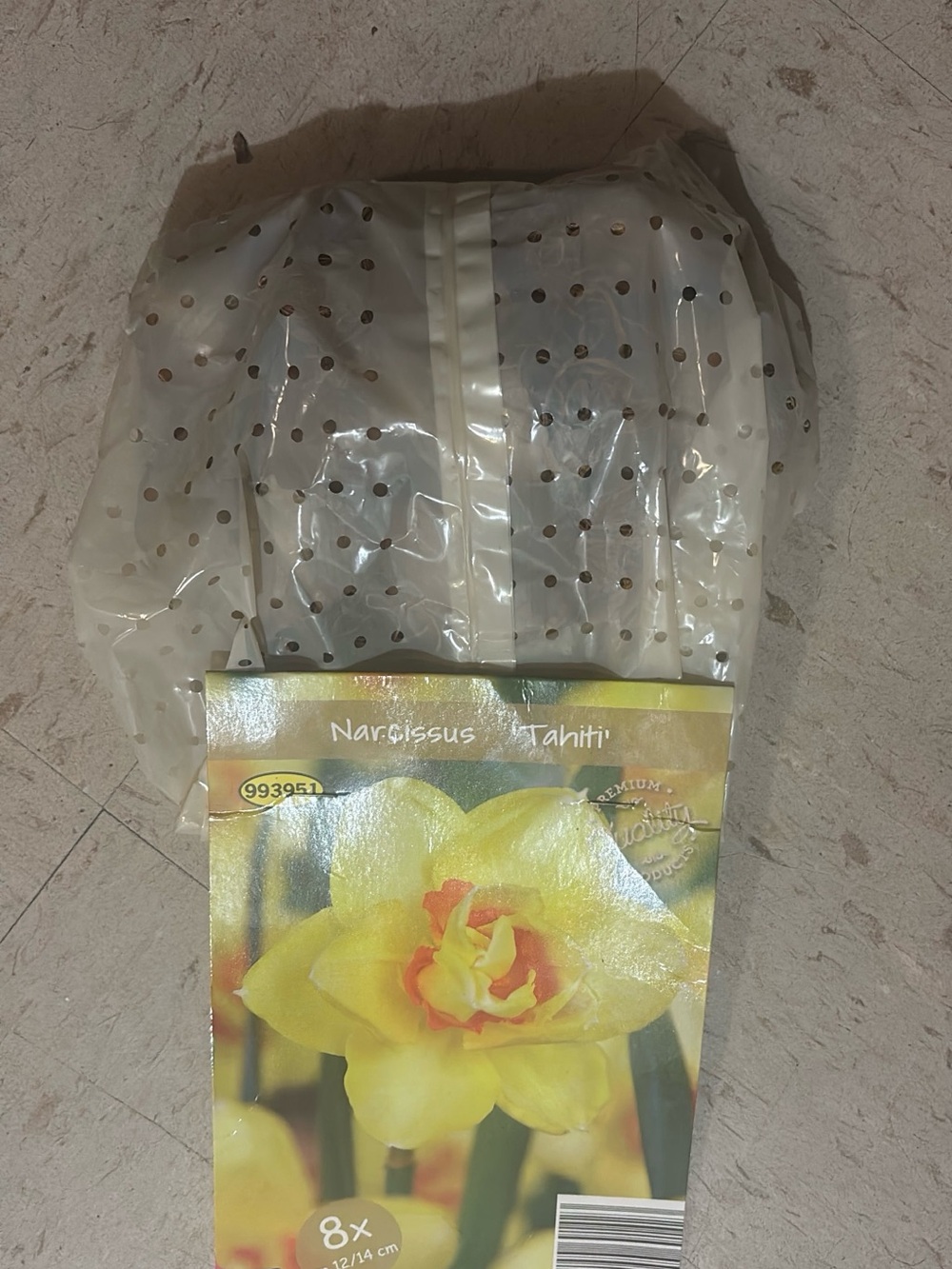 Yellow Tahiti Double Daffodil Bulbs - Pack of 8
